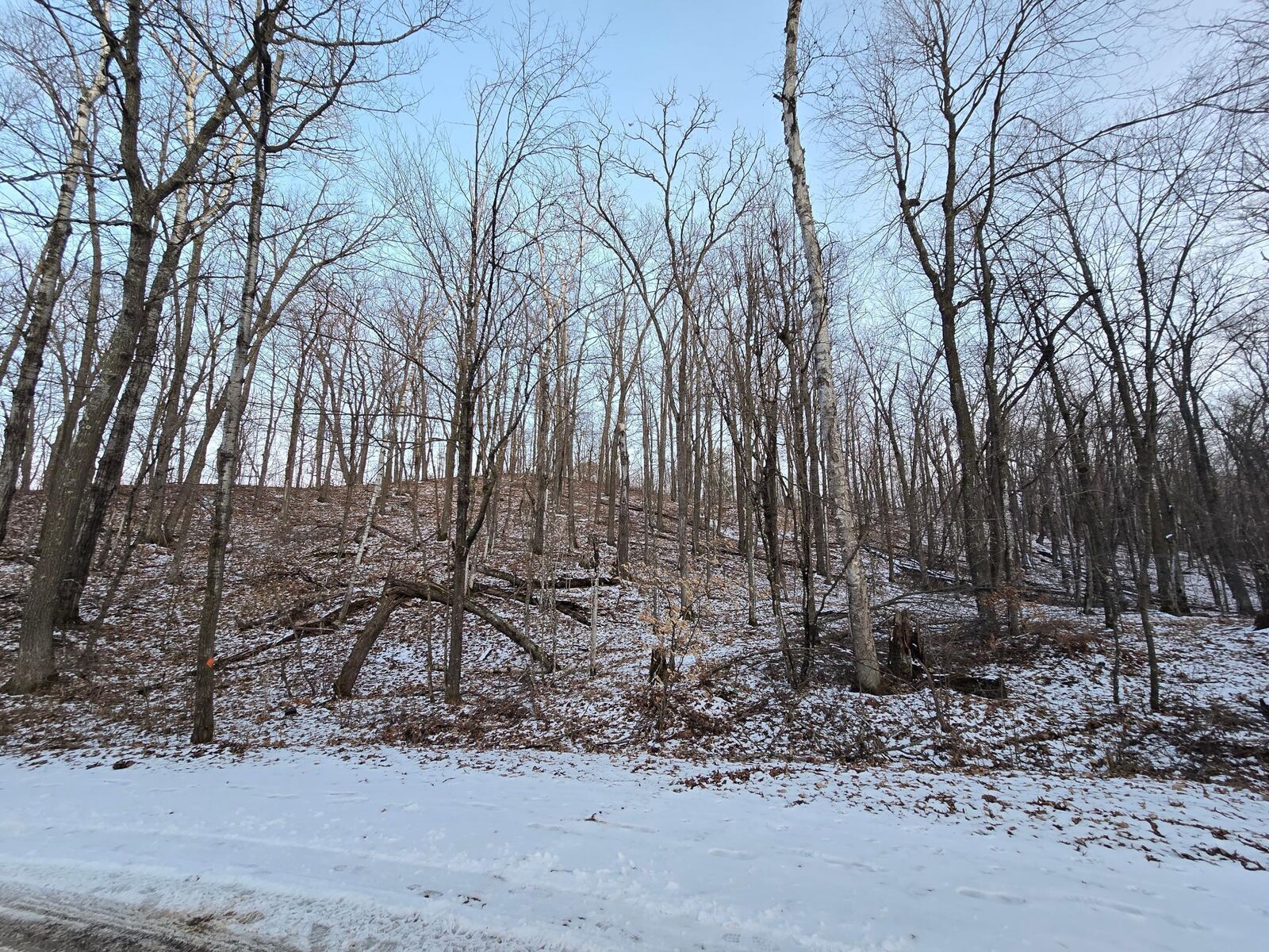 Property Photo: Lot25blk1 Westward Ho MN 56450