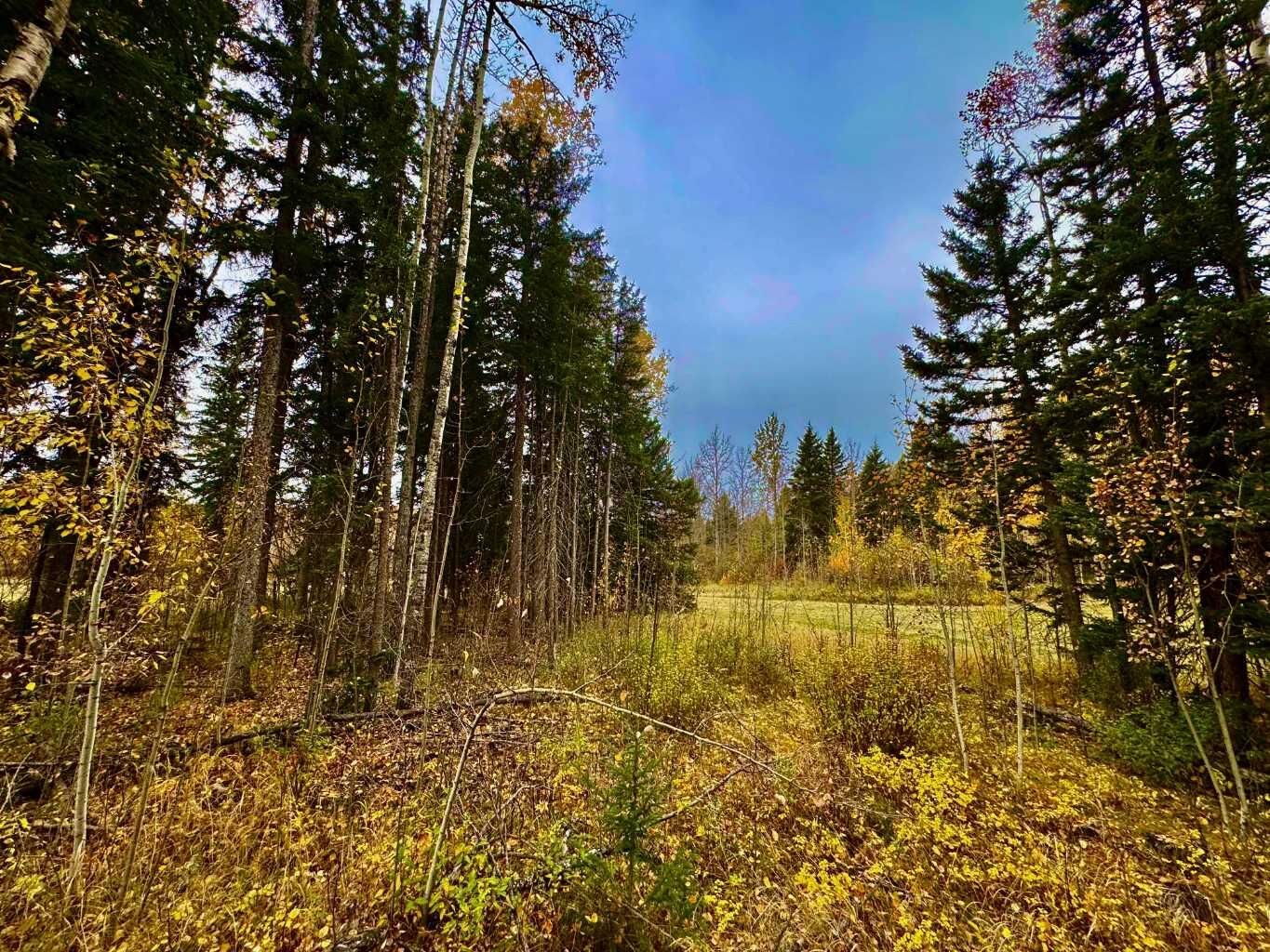 Property Photo: 301 Valley View Drive AB T4T 1A7