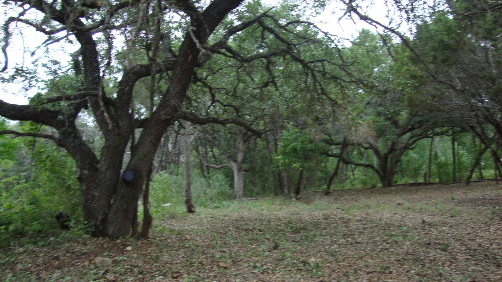 Property Photo:  11112, 11106 Travis Drive  TX 78645 