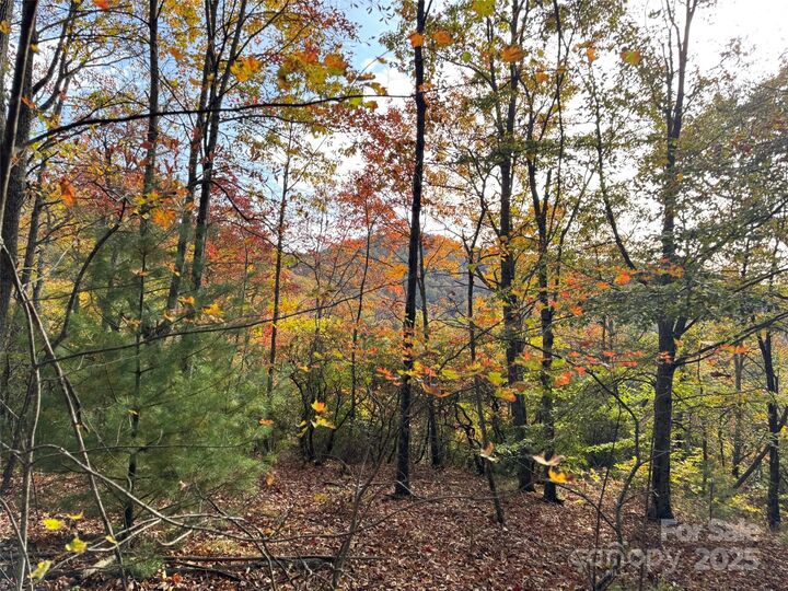 Property Photo:  692 Blue Mist Way 205R  NC 28704