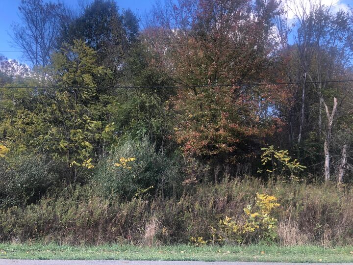 Property Photo: 0 Valleyridge Drive OH 43028