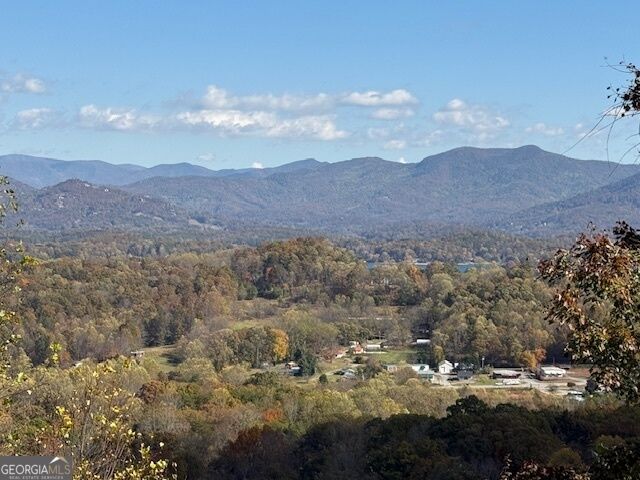 Property Photo: Lt 18 Vista Loop Road GA 30582