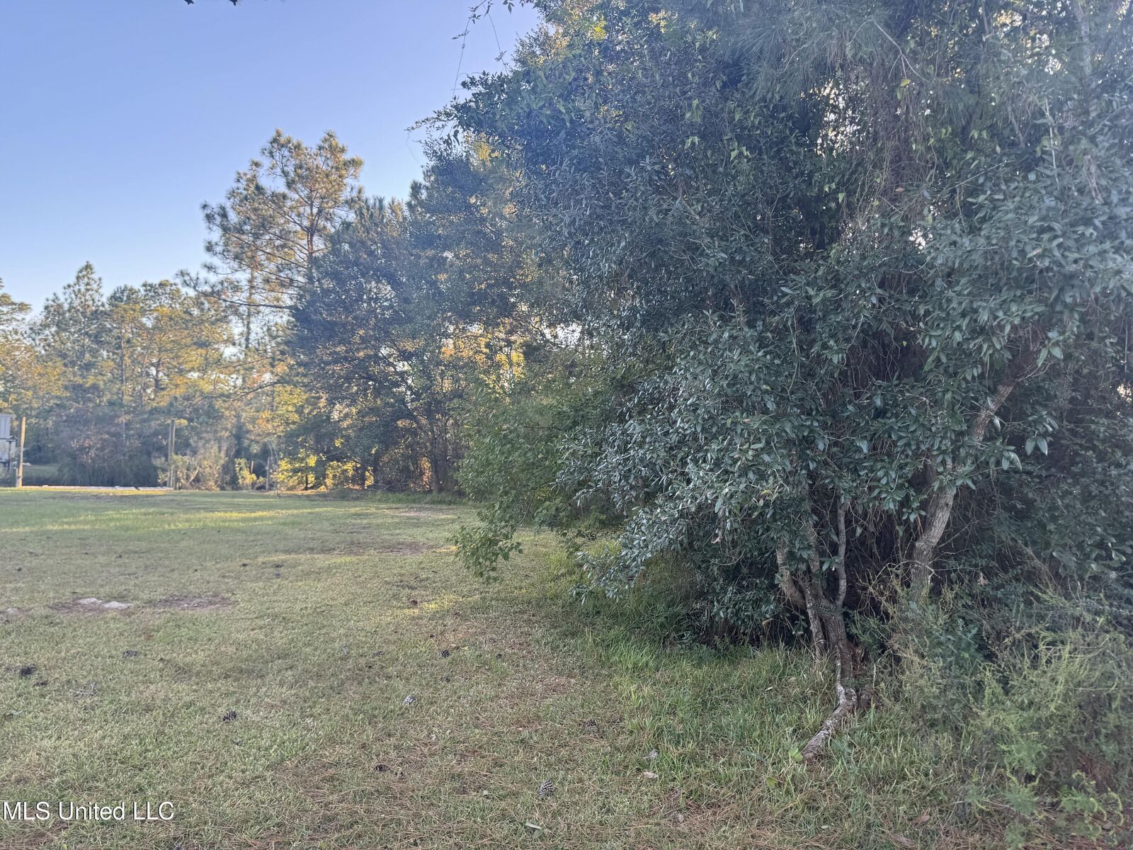 Property Photo:  0 Eve Street  MS 39576