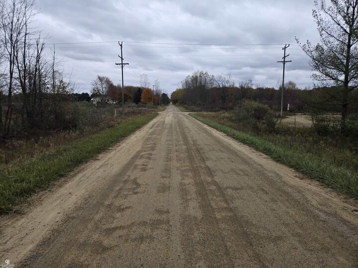 Property Photo:  Wellman Vl-A-B Road  MI 48454
