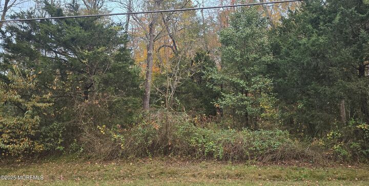 301 Meany Road  Wrightstown NJ 08562 photo