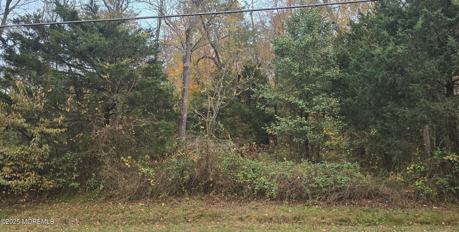 Property Photo:  301 Meany Road  NJ 08562