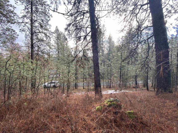 Property Photo:  10xx S Azalea Dr  WA 99224 