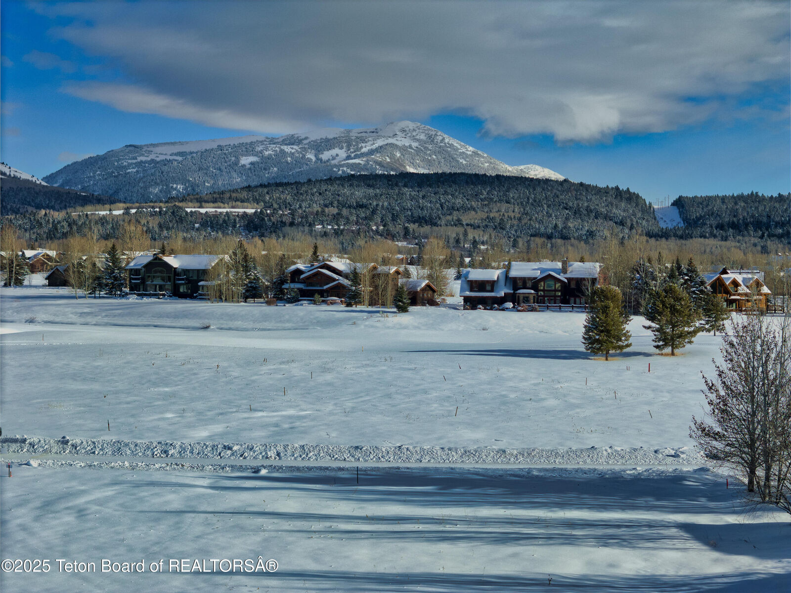 Property Photo: 51 Hastings Drive ID 83455