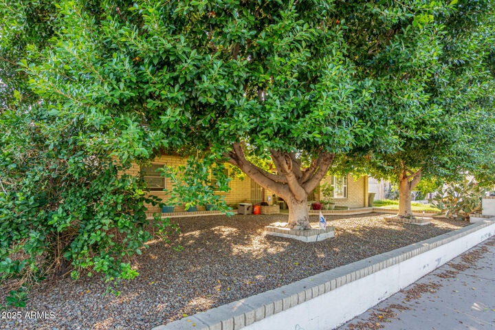 Property Photo:  3809 W Rue De Lamour Avenue  AZ 85029 