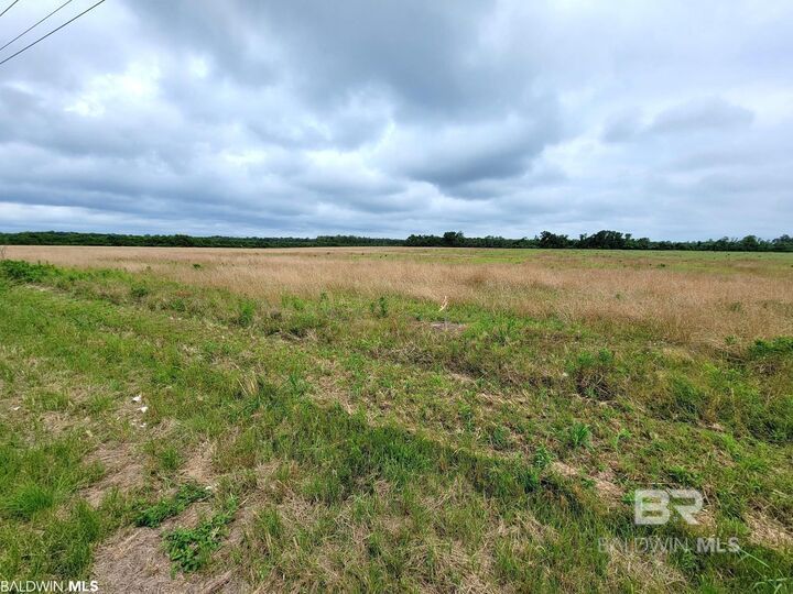 Property Photo:  0 County Road 16  AL 36535 