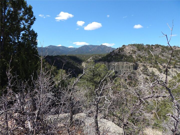 Property Photo:  0 County Road 103  CO 81226 