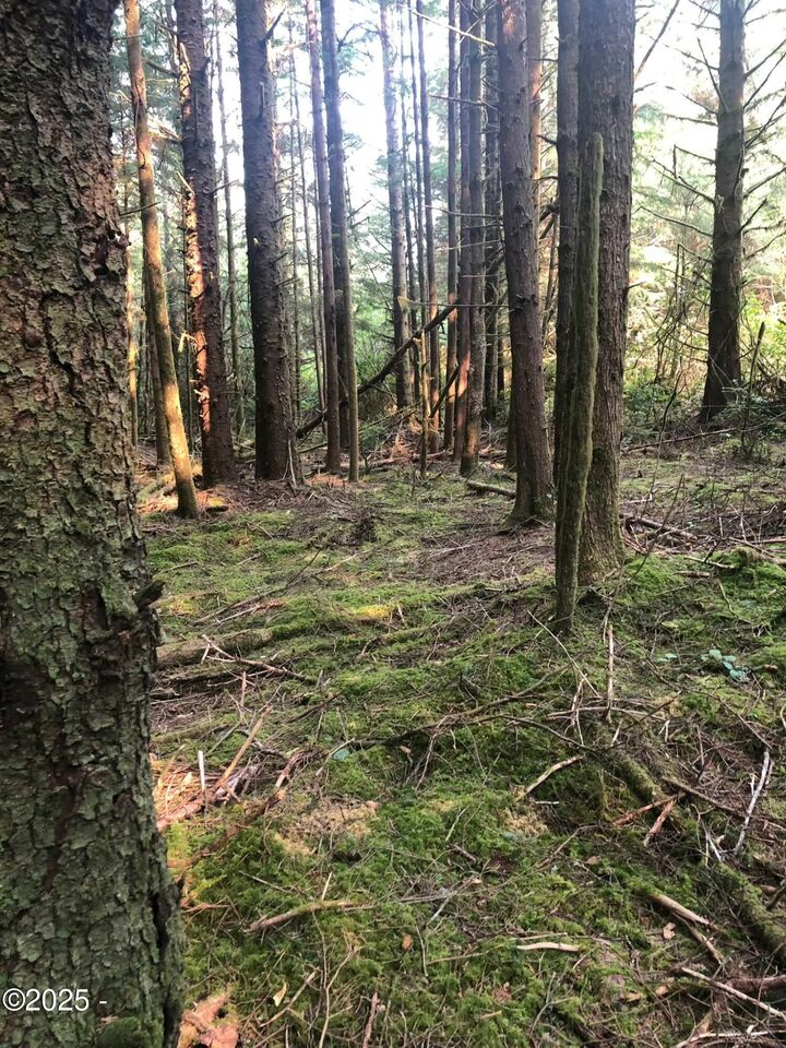 Property Photo:  Tl 500 SE Chittum Drive  OR 97366