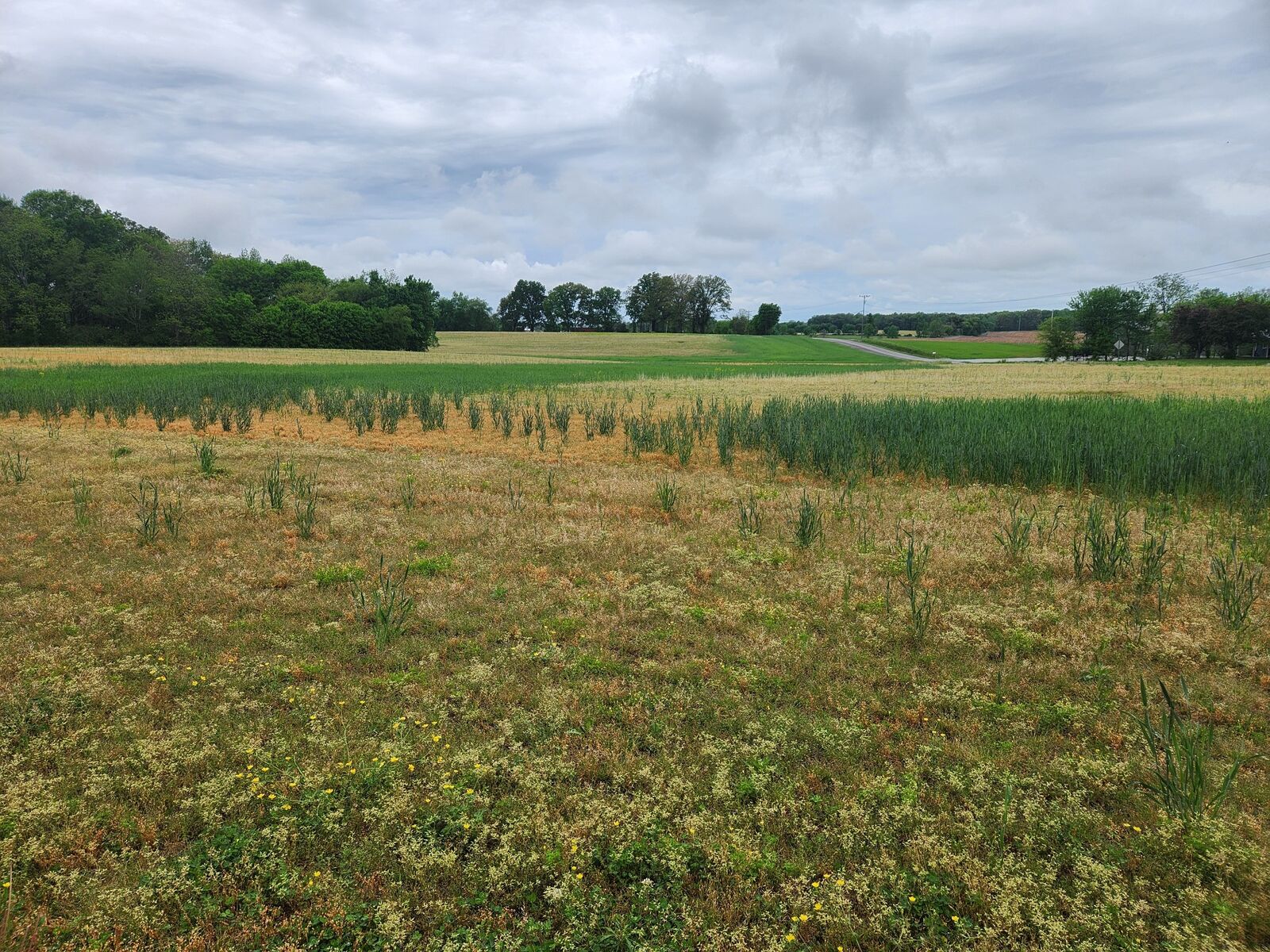 Property Photo:  3249 Fredonia Rd  TN 37355 