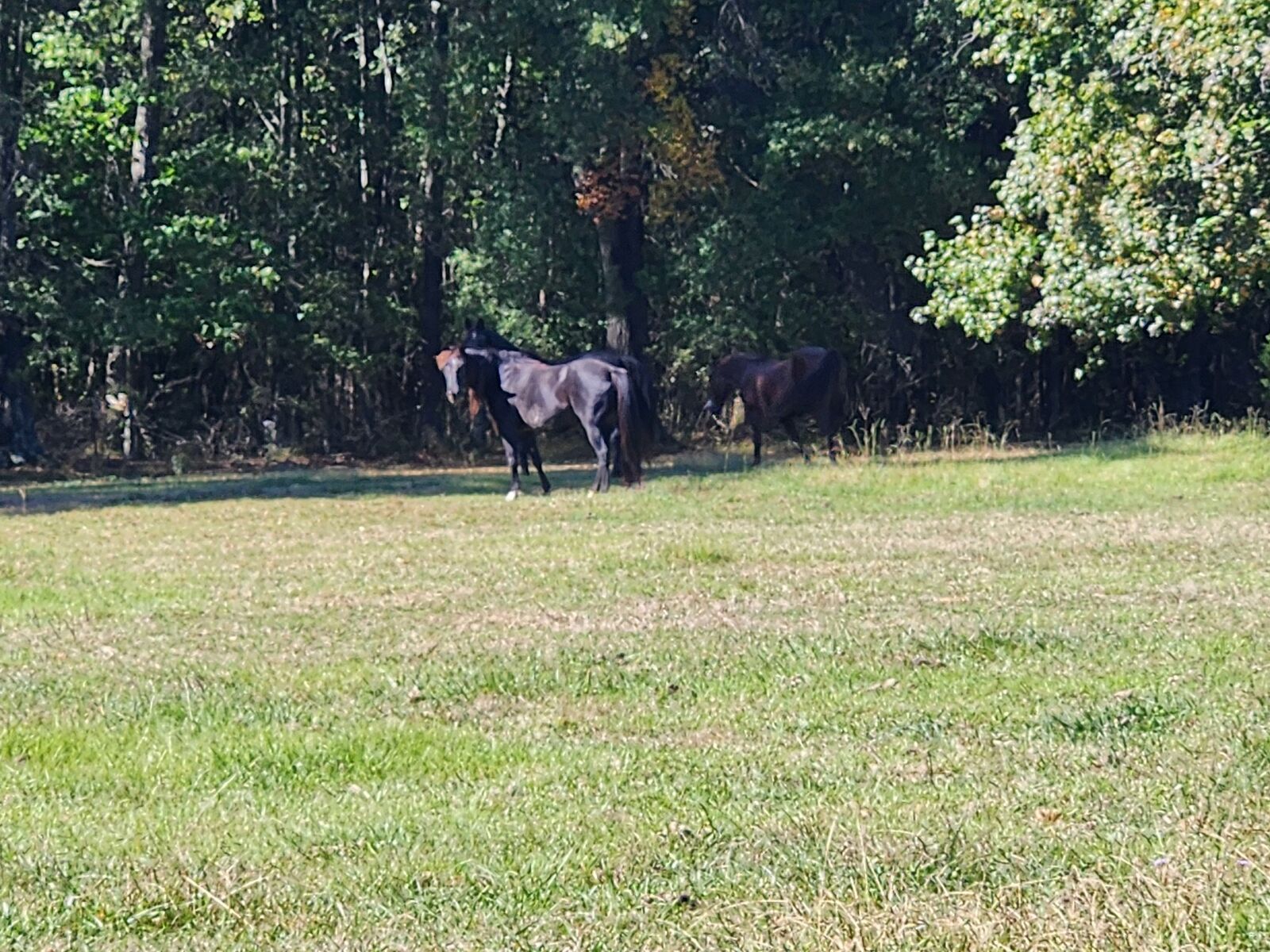 Property Photo:  0 Old Alto Hwy  TN 37324 