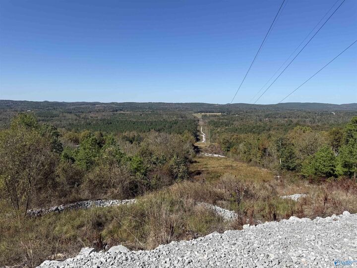 116 Acres Lay Springs Road  Gadsden AL 35904 photo