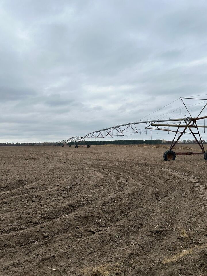 Property Photo:  142 Ac Basswood Lake Rd  MN 56575 