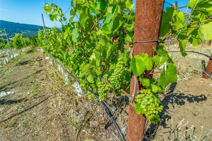 9269 Highway 6  Coldstream BC V1B 3B5 photo