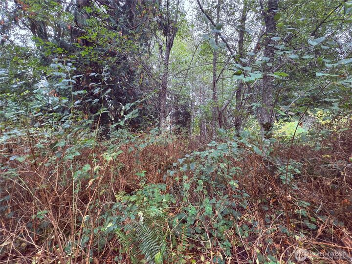 Property Photo: 18 M Olympic Drive WA 98206