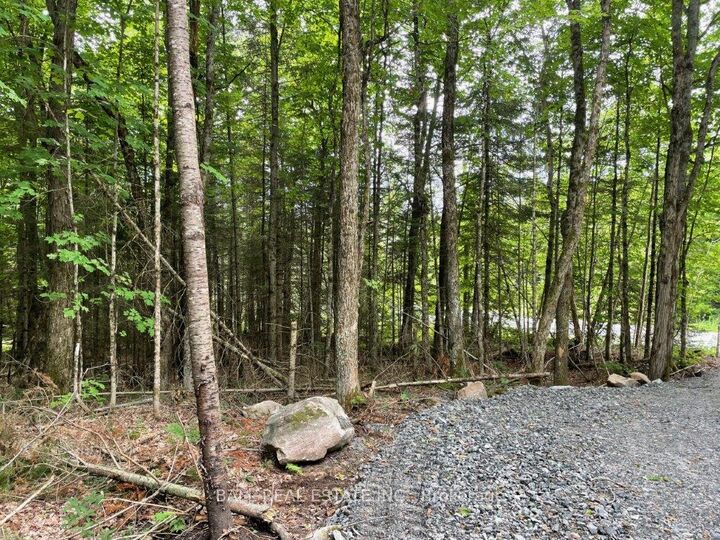 Property Photo:  1350 Haliburton Lake Rd N/A  ON K0M 1S0 