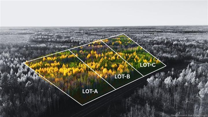 Lot C Route 126 — photo 1