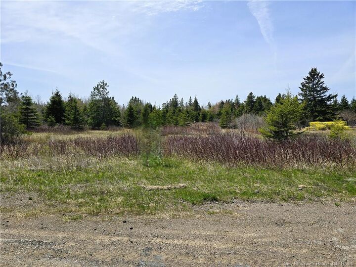 1.3 Acres Route 113 — photo 1