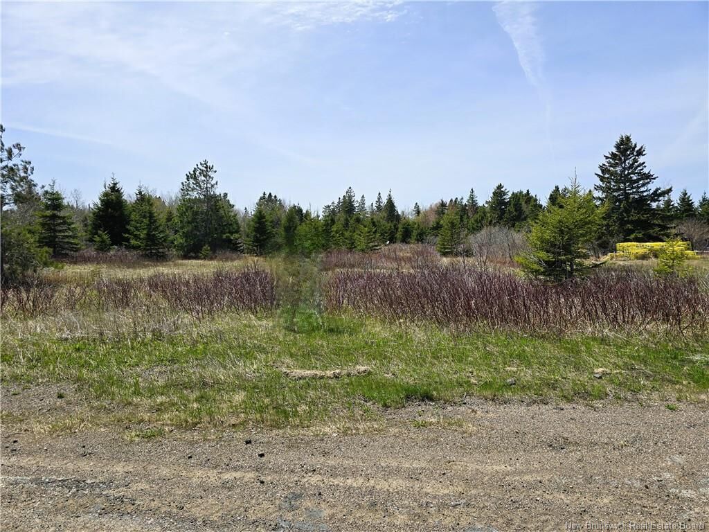 Property Photo:  1.3 Acres Route 113  NB E8T 1C7 