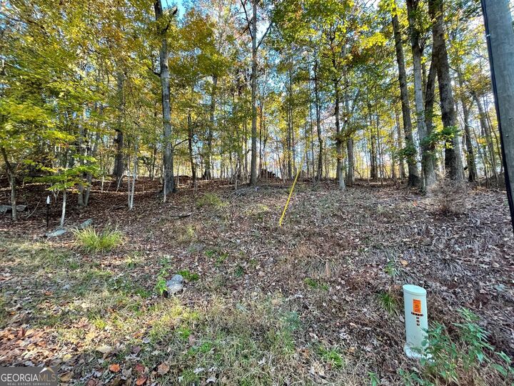 Property Photo: Lot 87 N Foxglove Road SC 29693