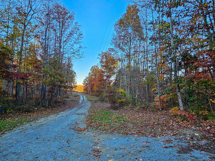 Property Photo: 4494 Pine Hill Road KY 40419