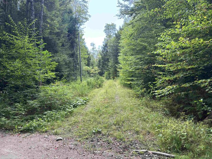 Property Photo: 106 Kemp Road NH 03773