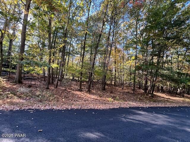 Property Photo: Lot 332 Racoon Road PA 18328
