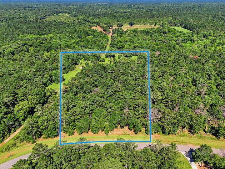 Property Photo:  Lot 6 Hidden Lakes Drive  GA 31721 