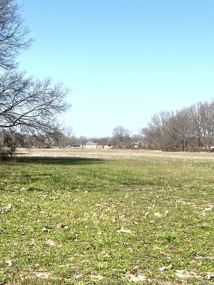 Property Photo:  11.46 Highway 351  AR 72405 