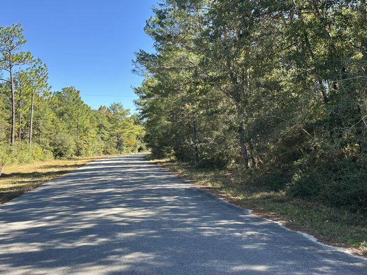 Property Photo: Parcel A Bear Head Road FL 32539