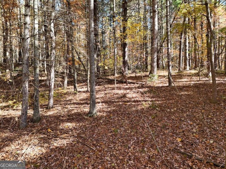 Property Photo:  20ac Odom Road  GA 30512 