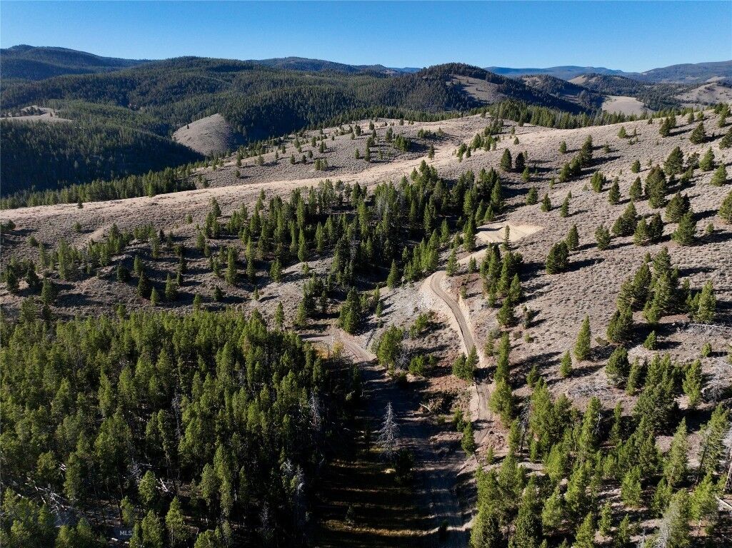 Property Photo: Lot 1 Ruby Mine Road MT 59701