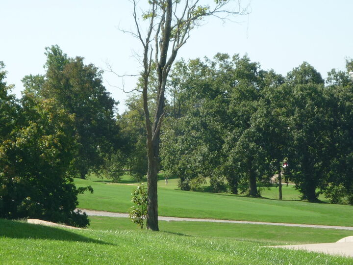 Property Photo: 1085 Scenic Garden KY 40342