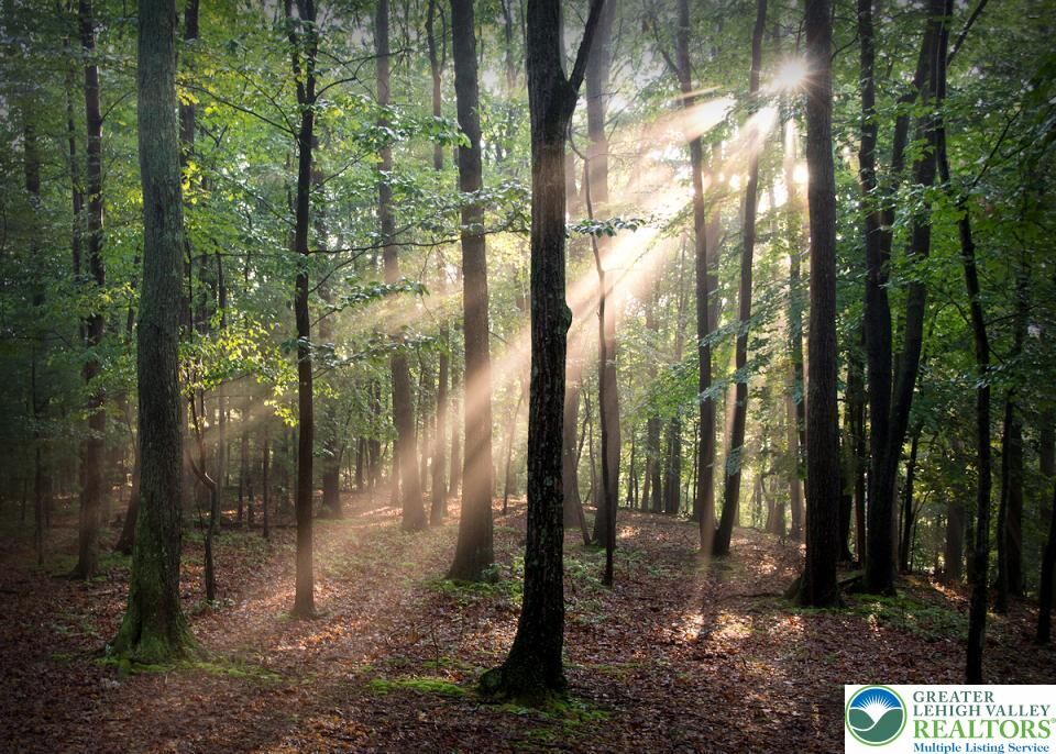 Property Photo: 190 Williams Lane PA 18355