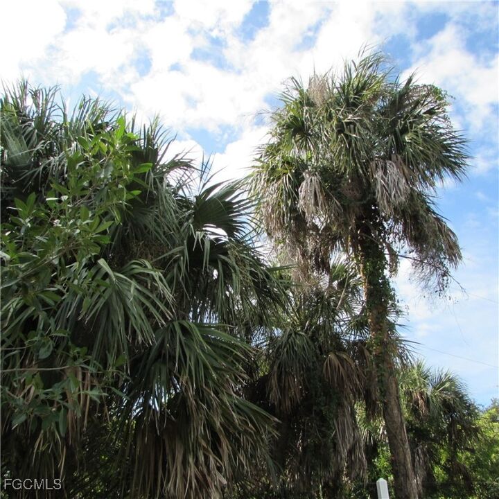 Property Photo:  3401 Castile Road  FL 33956 