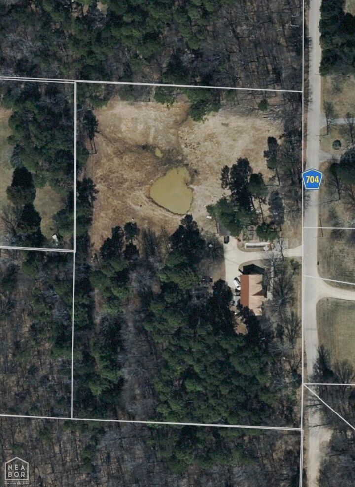 Property Photo:  164 Greene 704 Road  AR 72450 