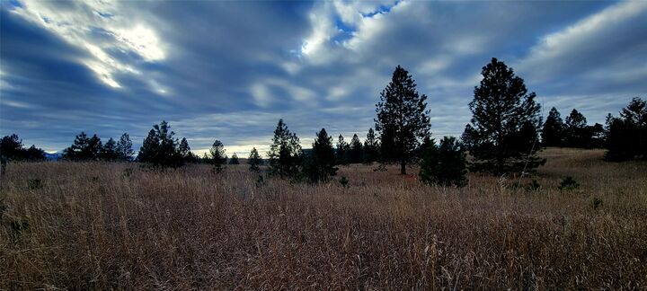 Property Photo: Lot 38 Southlake Crest MT 59860