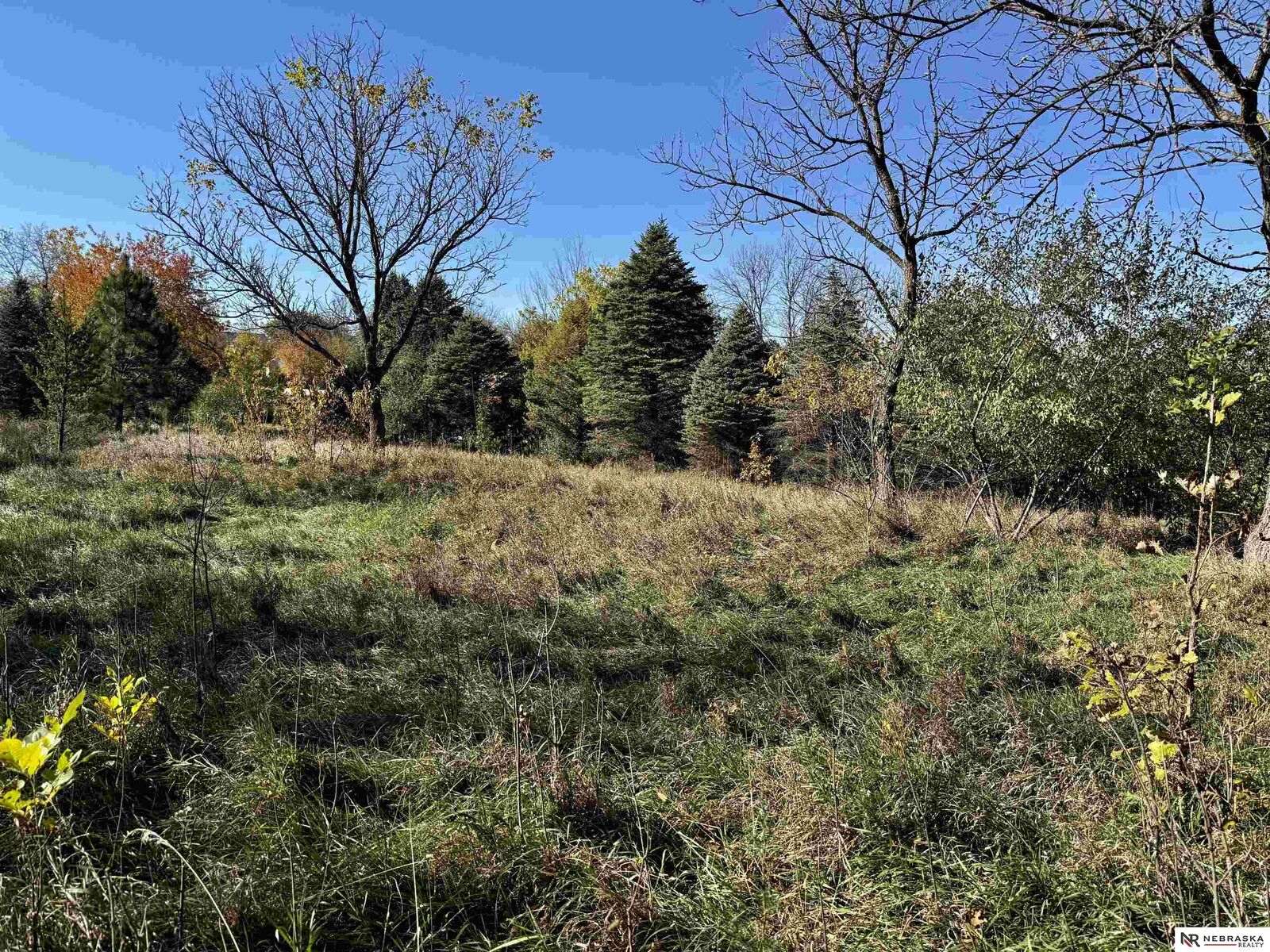 Property Photo:  6711 Platteview Road  NE 68133 