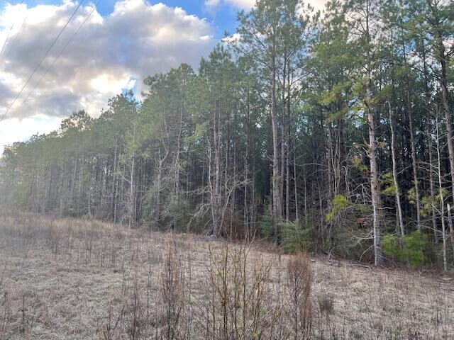 Property Photo: Nichols Rd. LA 71446