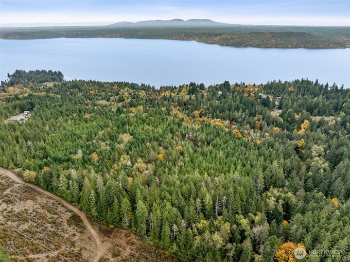 0  US Hwy 101  Lilliwaup WA 98555 photo