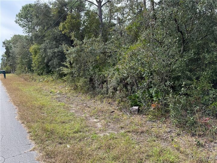 Property Photo:  2830 S Bolton Avenue  FL 34448 