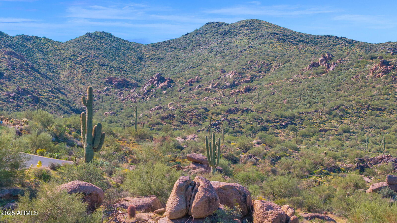 Property Photo:  37292 N Nighthawk Way 2  AZ 85377 