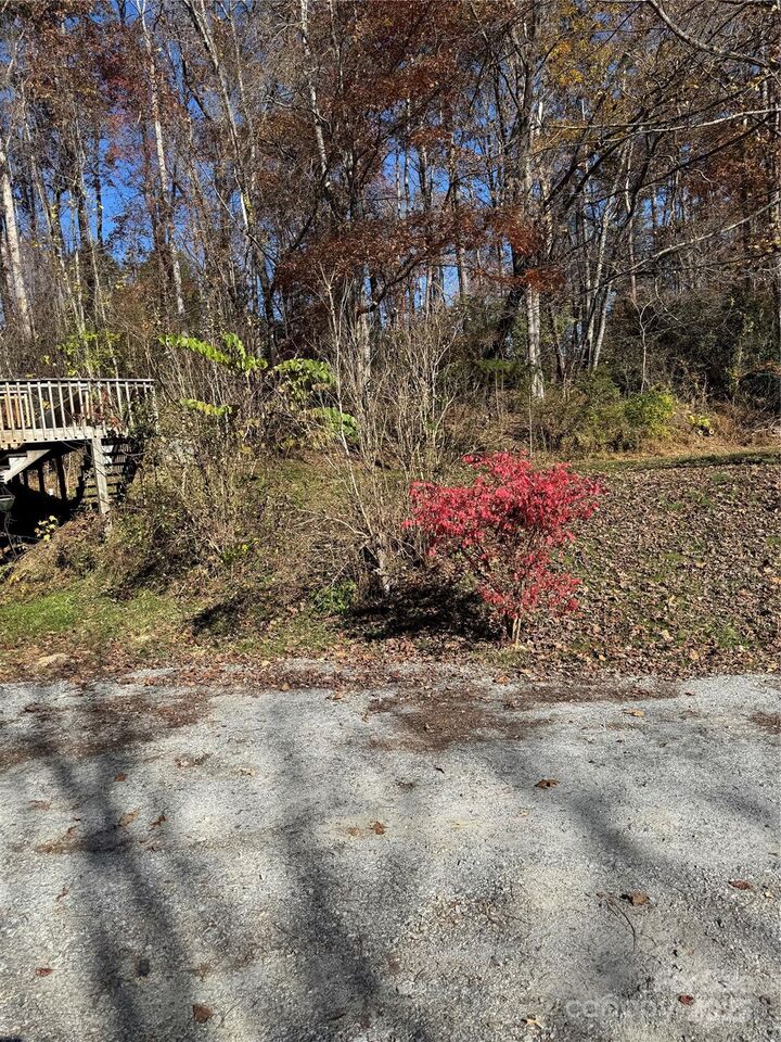 Property Photo:  90 Buchanan Drive  NC 28732 