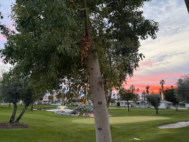 Property Photo: 84136 Ave 44, #744 CA 92203