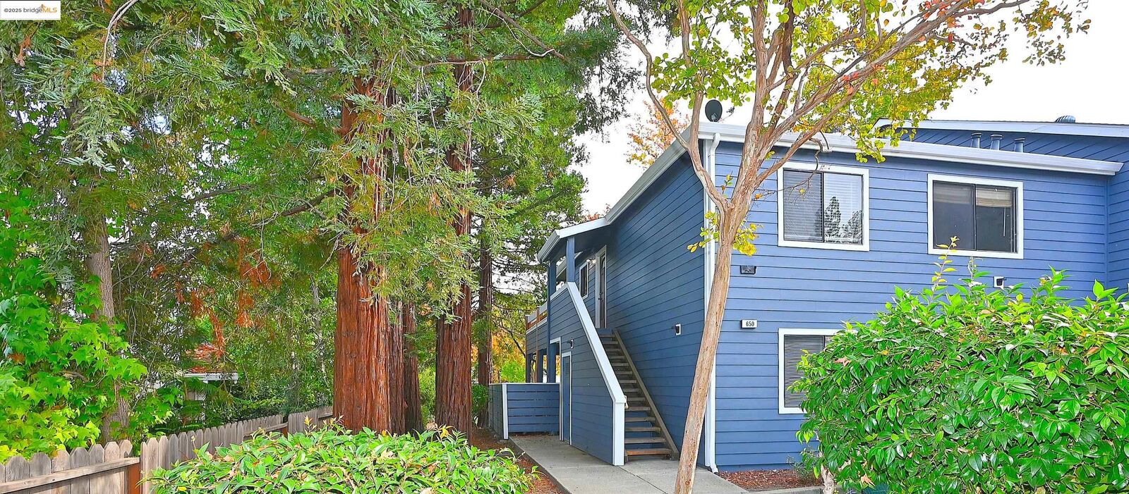 Property Photo:  648 Fig Tree Lane  CA 94553 