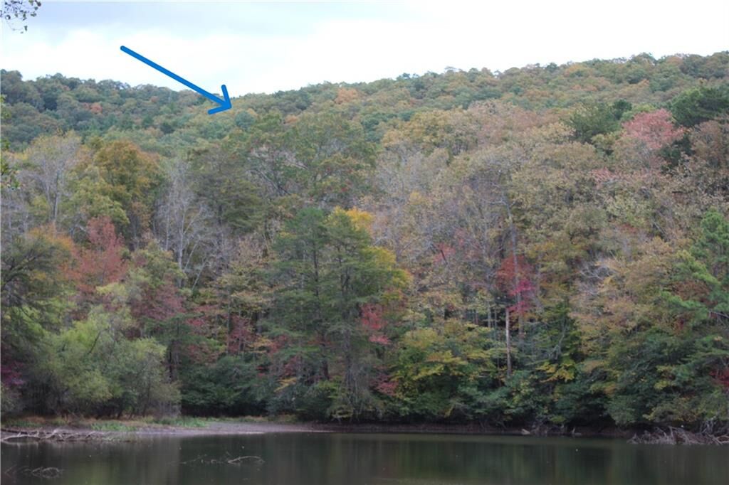 Property Photo: Lot 19 Owl Mountain Road GA 30540