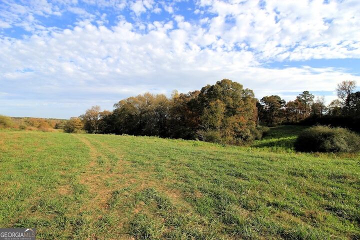 Property Photo:  1254 Ayers Road  GA 30108 